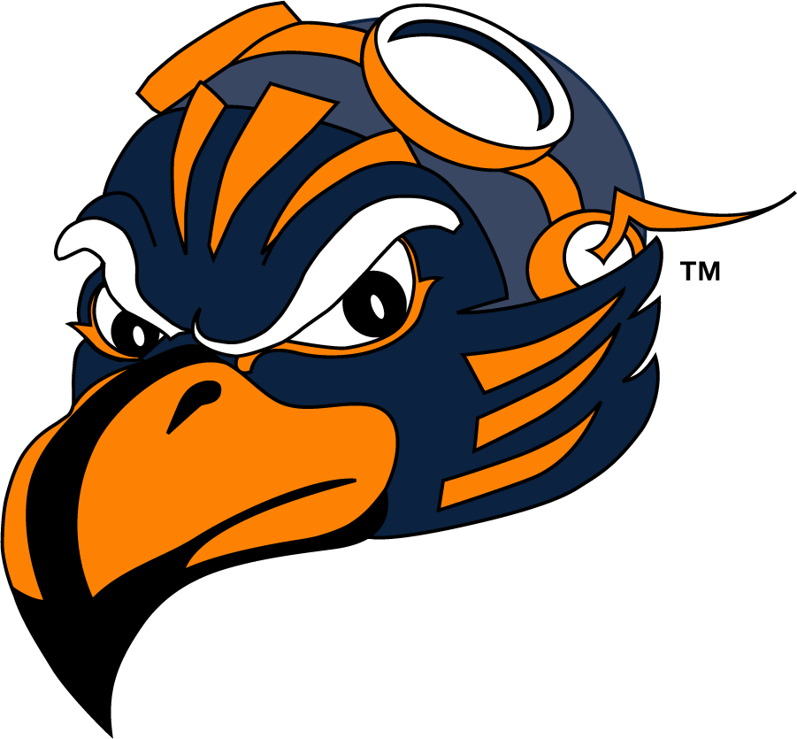 Tennessee-Martin Skyhawks 2007-2020 Mascot Logo iron on transfers for clothing
